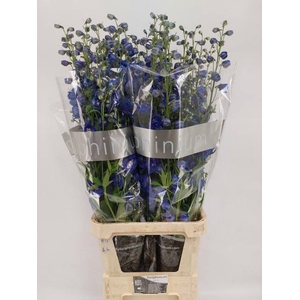 Delph Blue Emerald Den Bleker