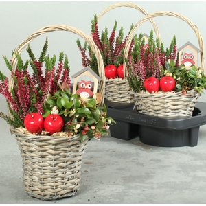ARR TUINPLANTEN