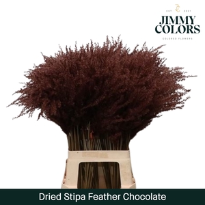 Dried Stipa Feather Chocolate