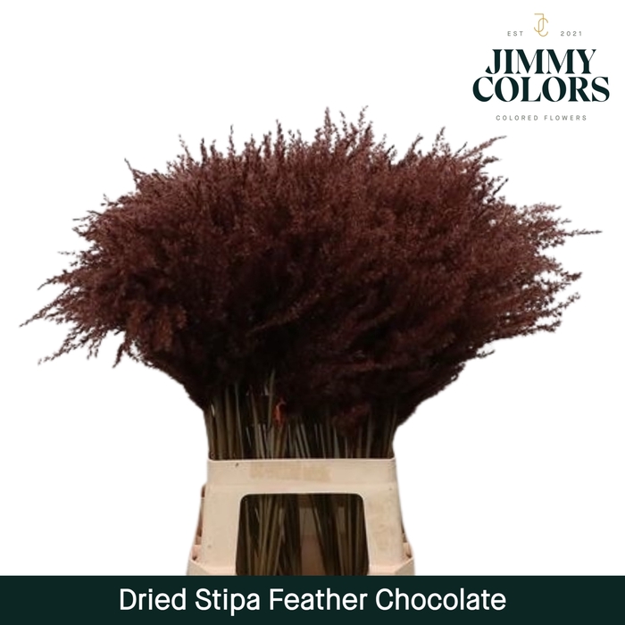 <h4>Dried Stipa Feather Chocolate</h4>