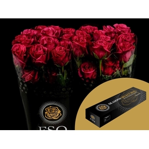 R GR Roseberry Box