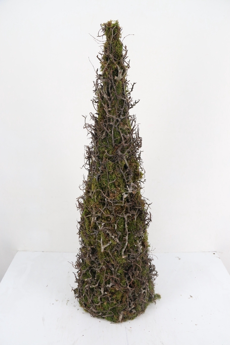 <h4>Cone Moss Bonsai 110cm</h4>