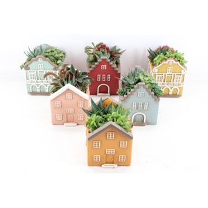 arr3 SN - Casa home mix L x6