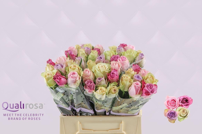 <h4>R Gr Mix Sweet Love</h4>