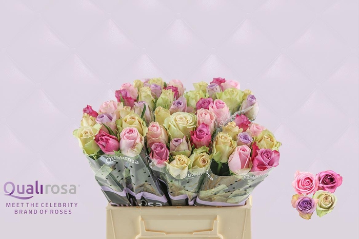 <h4>R Gr Mix Sweet Love</h4>