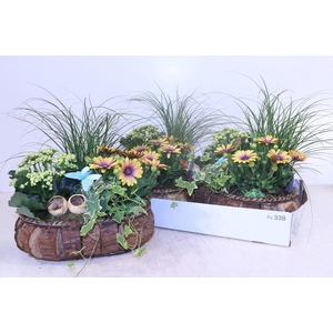 ARR TUINPLANTEN