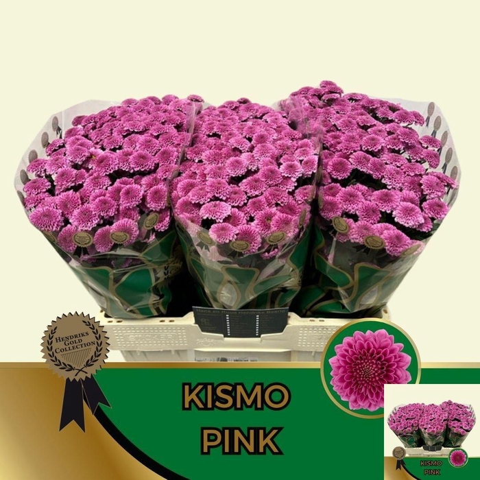 <h4>CHR S KISMO PINK</h4>