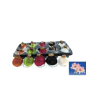 BLOEMBOL HIPPEASTRUM