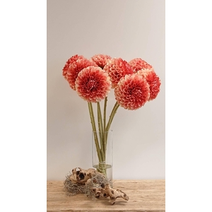 DAHLIA PINK FL440337PNK L65