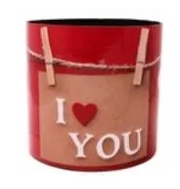 <h4>CACHEPOT CATHERINE 15 CM X 15 CM X 15 CM I LOVE YOU</h4>
