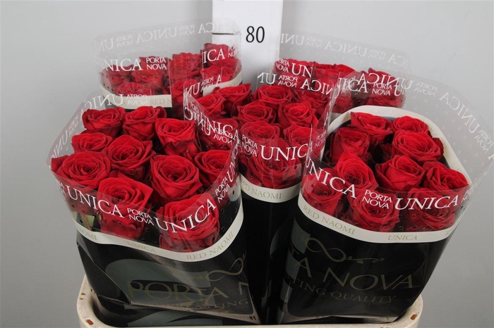 <h4>R Gr Red Naomi!</h4>