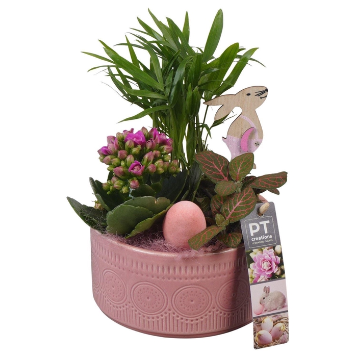 <h4>6471 KER ROZE PASEN</h4>