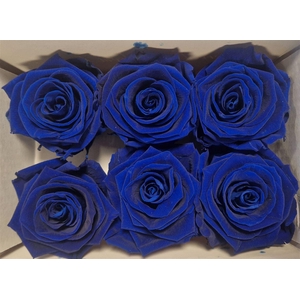 Ro Pres Classic Blue