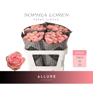 R GR SOPHIA LOREN ALLURE Allure Specials