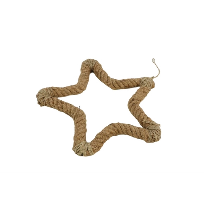 <h4>Opruiming Kerst Deco hanger ster 30cm</h4>