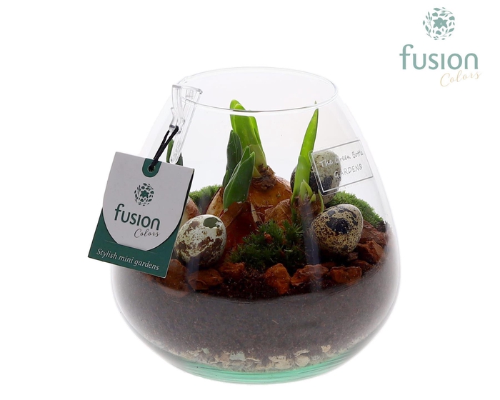 <h4>Green Bottle Abby Small Pasen met Bollen mix</h4>