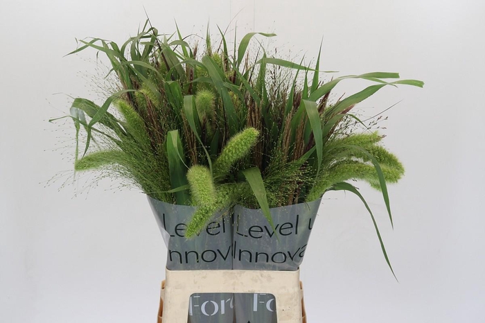 Siergrassen Gemengd in Fust