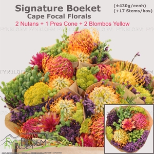 PROTEA PER BOS