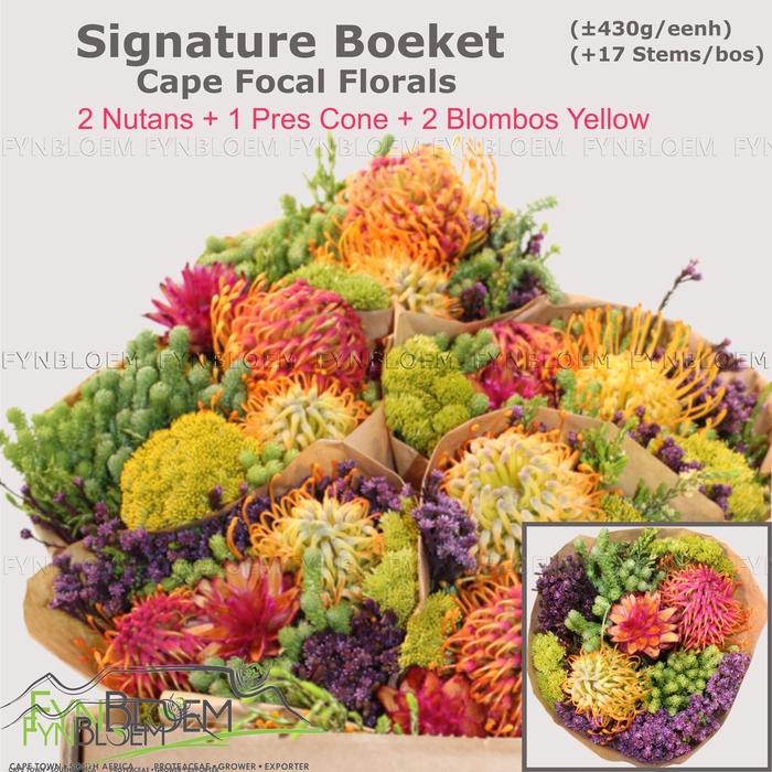 <h4>PROTEA PER BOS</h4>