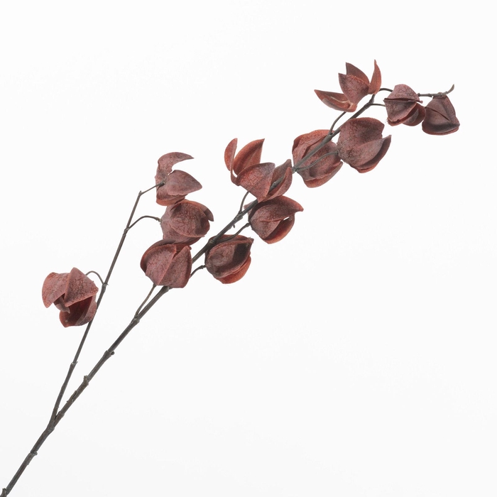 <h4>Physalis Spray Burgundy LV330171BUR</h4>
