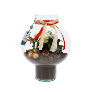 Green Bottle Laura Large met Kerst arrangement met LED