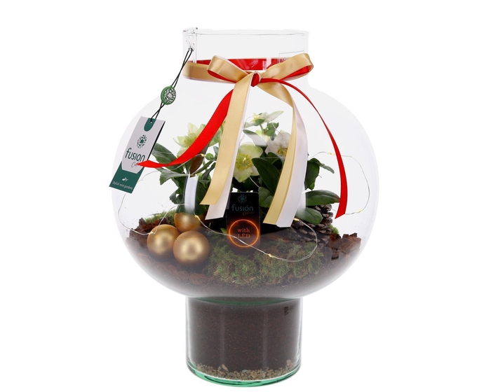 <h4>Green Bottle Laura Large met Kerst arrangement met LED</h4>