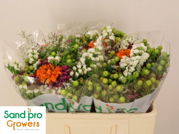 <h4>GEM ZOMERBOEKET</h4>