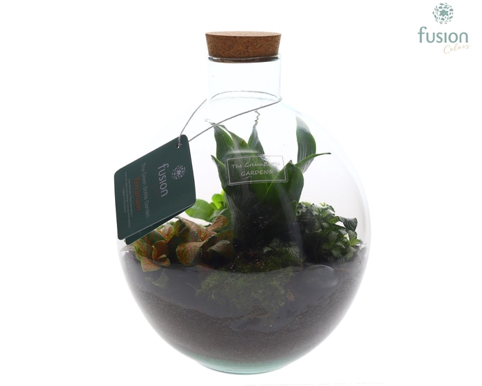 <h4>Terrarium Okaido Medium met arrangement</h4>