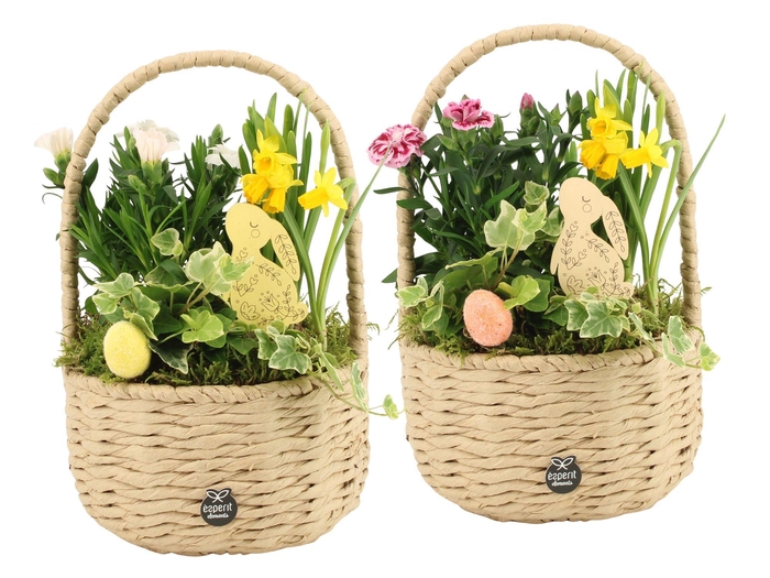 <h4>70897: Easter outdoor arrangement</h4>
