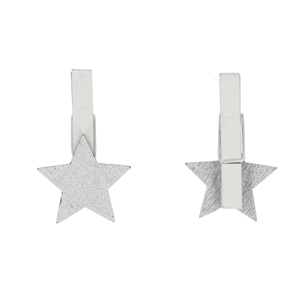 Knijper ster 3cm x36