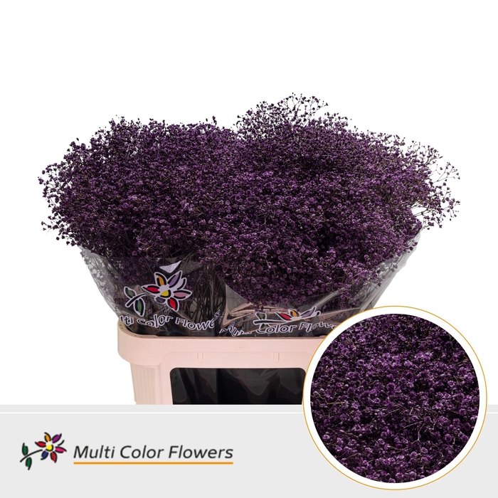 <h4>Gyps Fijn Lila Donker</h4>