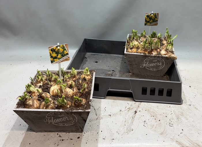 <h4>ARR N TETE A TETE</h4>