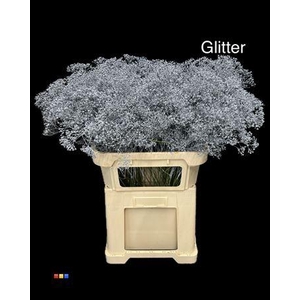 Gyps Million Star Grey + Glit Bio