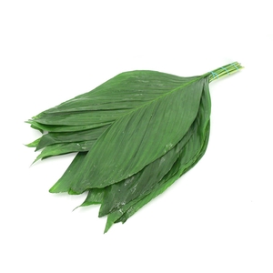 Cocos Super 70