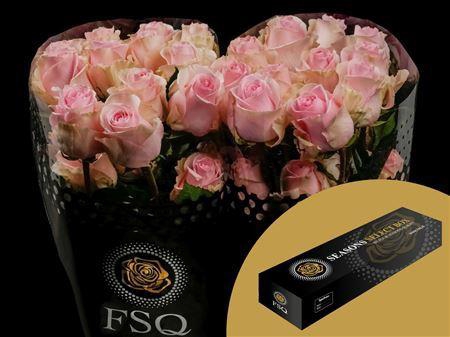 <h4>R Gr Duchesse Box</h4>