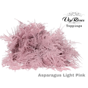 ASP OV 1E VEREN LIGHT PINK