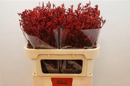 <h4>LIM OV KLB H%</h4>