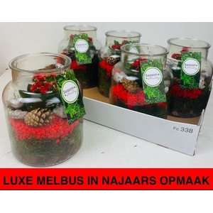 ARR KAMERPL