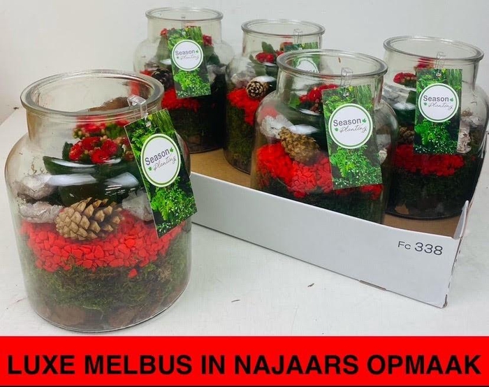 <h4>ARR KAMERPL</h4>