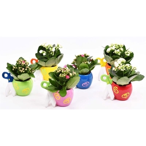 Keramiek pot schaar mix 12x8cm