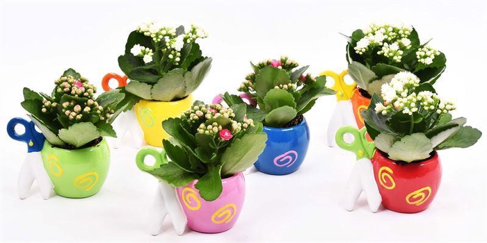 <h4>Keramiek pot schaar mix 12x8cm</h4>