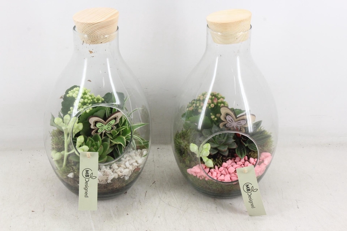 <h4>arr2 MB - Druppelvaas - roze/wit</h4>