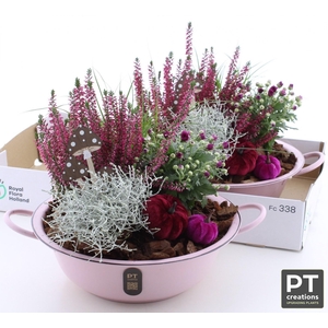 ARR GARDEN ZINC PINK X2