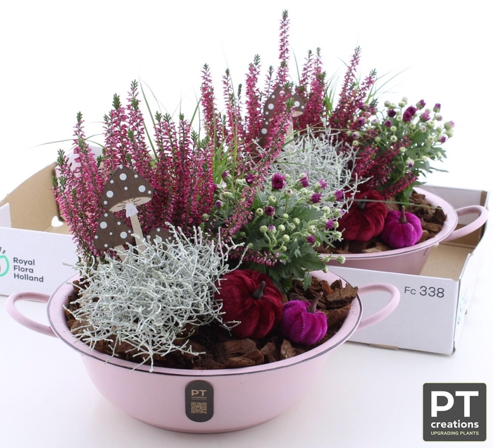 <h4>ARR GARDEN ZINC PINK X2</h4>