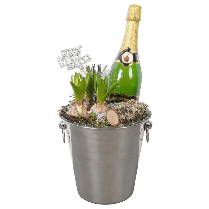 <h4>Arr.    Planten  H%</h4>