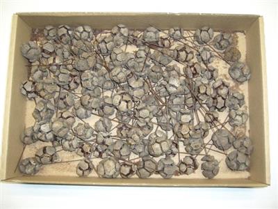 <h4>K20 CYPRESSE NATUREL</h4>