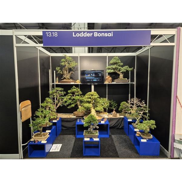 <h4>Complete contents of the exhibiton stand (14 trees)</h4>