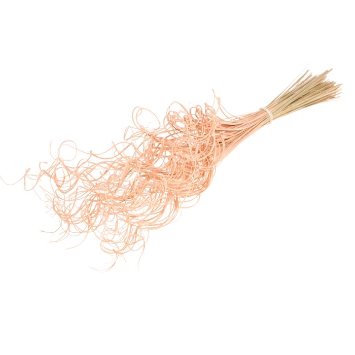 <h4>Curly Ting Ting (palm) 100pc Coral Misty</h4>