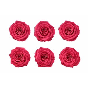 Ro Pres Classic Cherry Blush