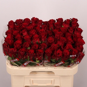 R GR RED LOVE